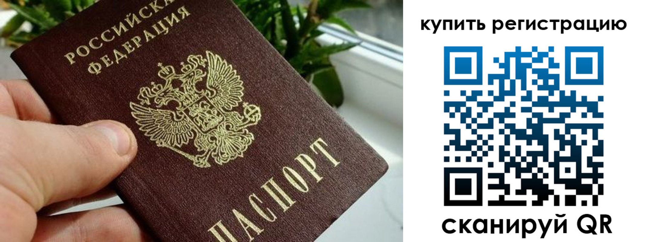 прописка гарантия в Абакане